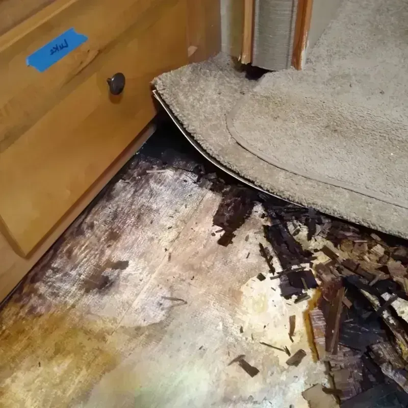 Best Wood Floor Water Damage Service in Lutz, FL